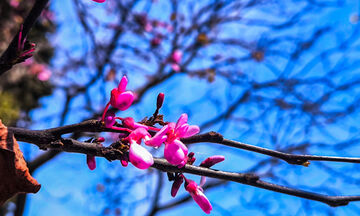 Καιρός: Γενικά αίθριος χωρίς μεταβολή της θερμοκρασίας 