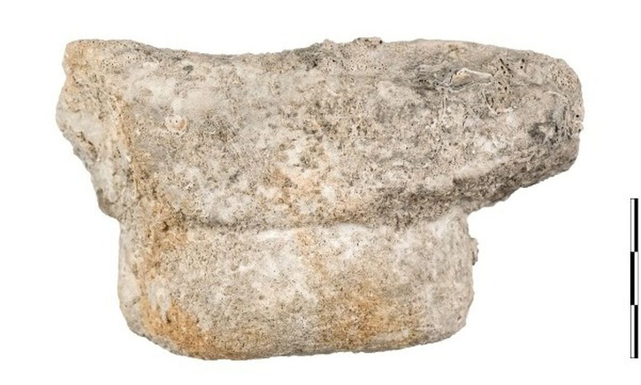 «ΜΕΝΤΩΡ», σημαντικά ευρήματα