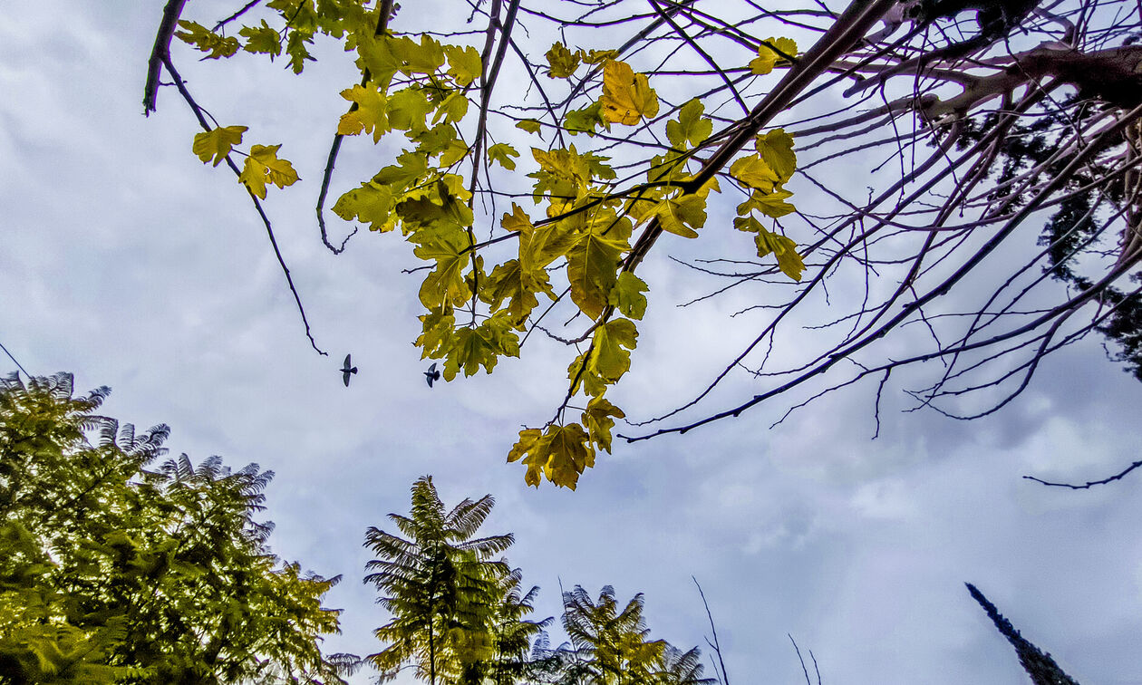 Καιρός: Νεφώσεις με τοπικές βροχές σε ορισμένες περιοχές 