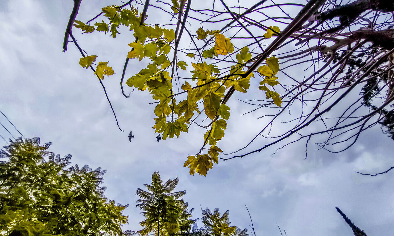 Καιρός: Άνοδος της θερμοκρασίας παρά τις τοπικές βροχές