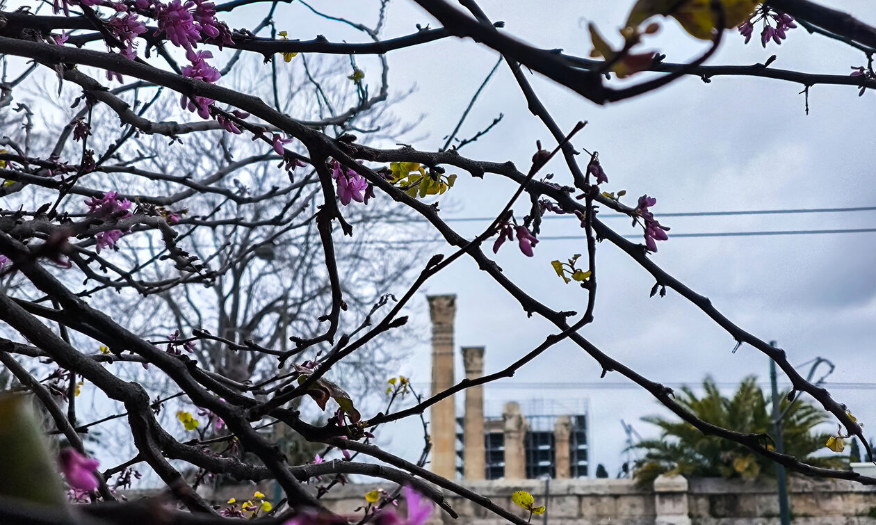 Καιρός: Μικρή άνοδος με λίγες νεφώσεις 