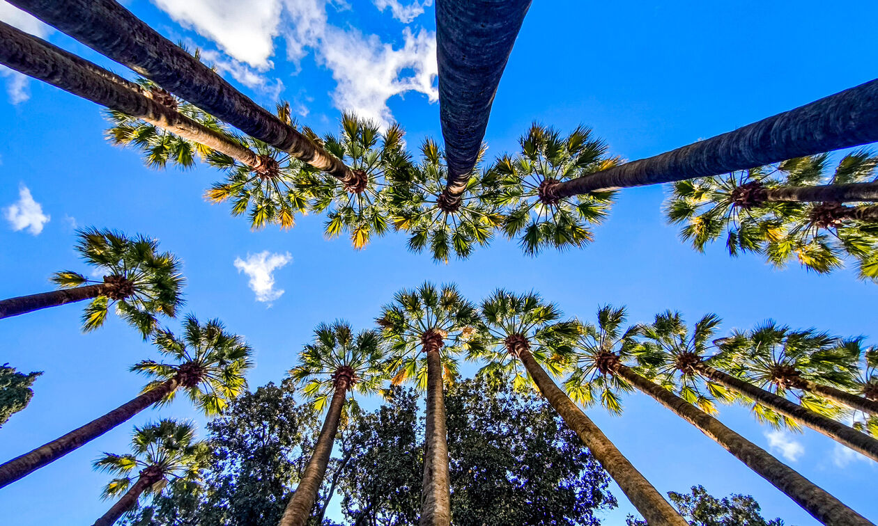 Καιρός: Αίθριος με τοπικές νεφώσεις 