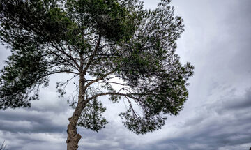 Καιρός Μεγάλου Σαββάτου: Συννεφιά και τοπικές βροχές - Στους 20 βαθμούς η θερμοκρασία