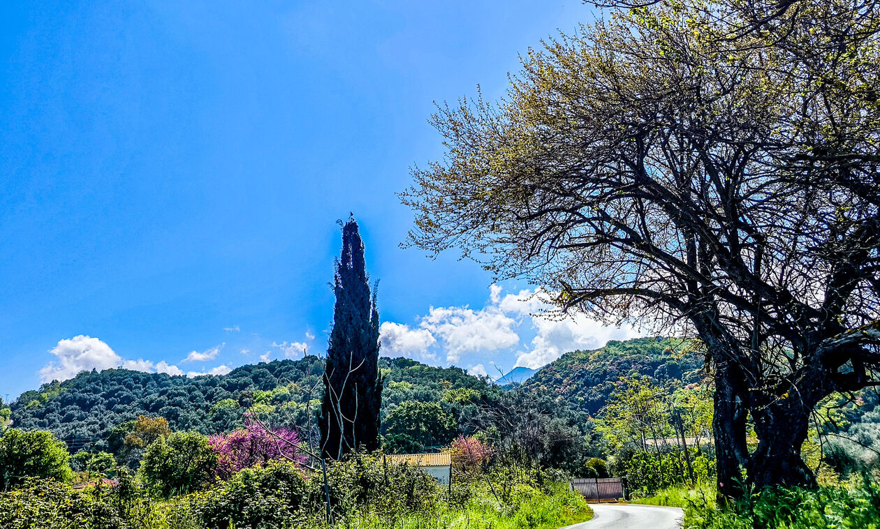 Καιρός: Γενικά αίθριος με παροδικές νεφώσεις 