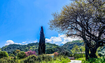 Καιρός: Γενικά αίθριος με παροδικές νεφώσεις 