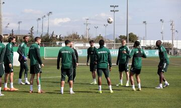 Παναθηναϊκός: Ανεβάζει στροφές ο Πάλμερ-Μπράουν