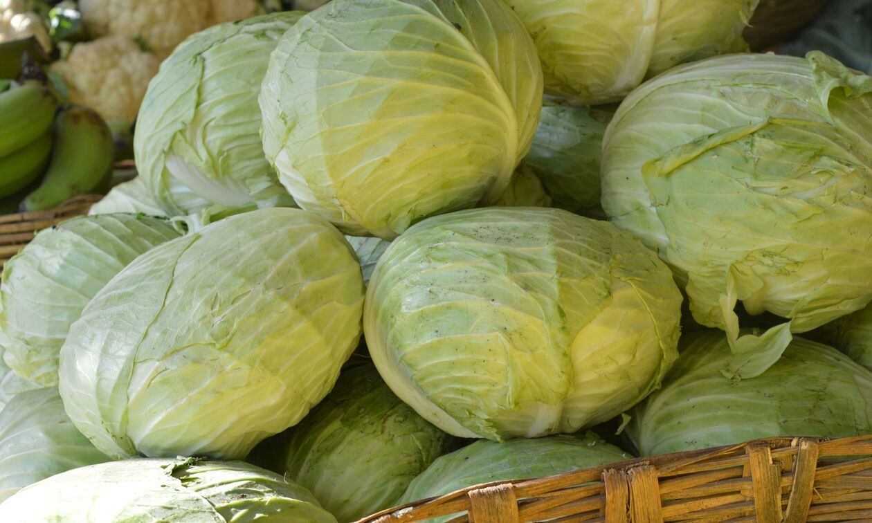 Κόκκινο vs πράσινο λάχανο: Ποιο είναι το καλύτερο