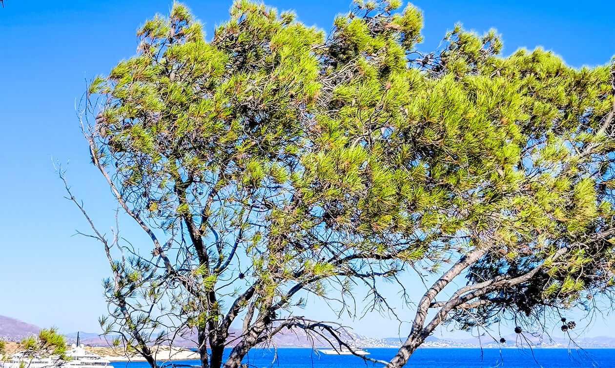 Καιρός: Αίθριος στις περισσότερες περιοχές της χώρας