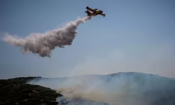Φωτιά στον Άγιο Δημήτριο Μεσσηνίας