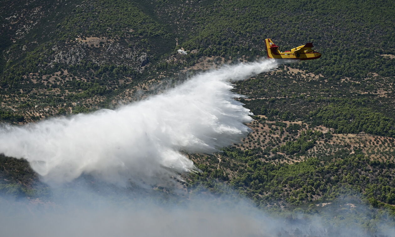 Περιφερειακή Αιγάλεω: Πυρκαγιά σε χαμηλή βλάστηση - Εντολή εκκένωσης για Αφαία, Άνω Δάσος Χαϊδαρίου