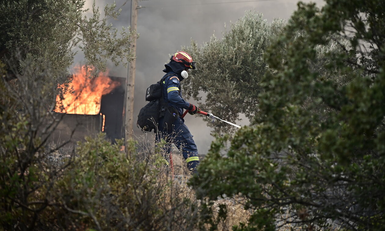 Πύρινη λαίλαπα στον Κουβαρά Αττικής
