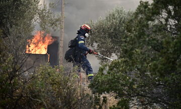 Πύρινη λαίλαπα στον Κουβαρά Αττικής