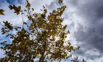 Καιρός: Νεφώσεις και τοπικές βροχές